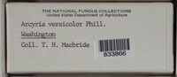 Image Associated With the Occurence
